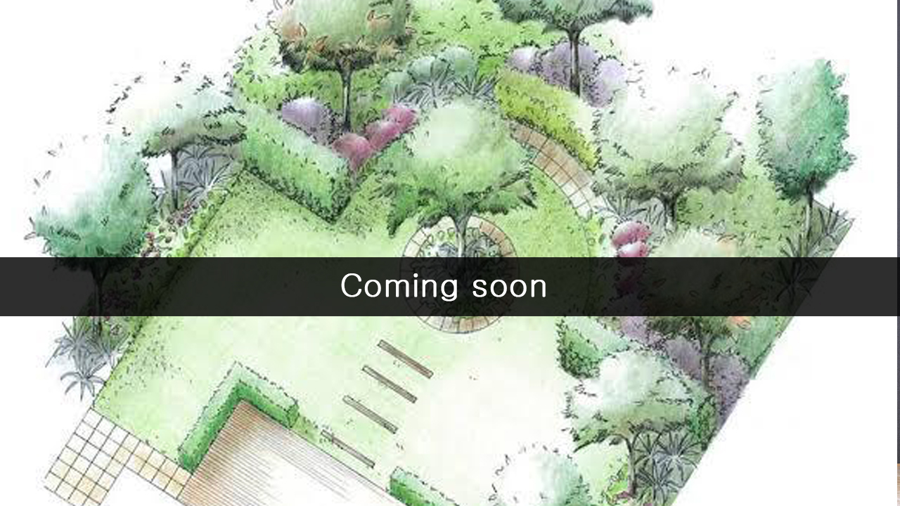 Project Title